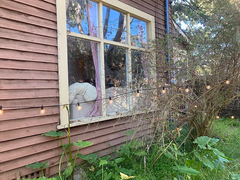 Alder St — Photo 11