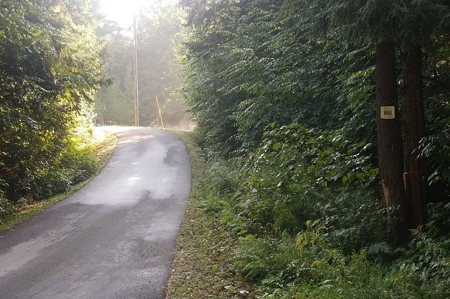 2nd image of 164 Buzzell Hill Rd