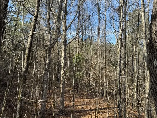 0 Chapel Hill Rd, Gore Springs, MS 38929