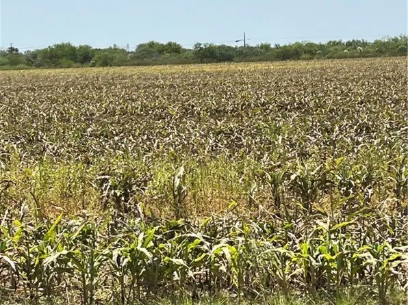 15489 County Road 1726, Odem, TX 78370