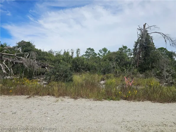 123 Patton Ave, Lake Placid, FL 33852