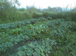 CR 3053, Orange Grove, TX 78372