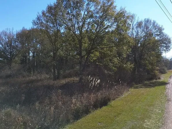 LOT Three Perrilloux Rd #B, Livingston, LA 70754