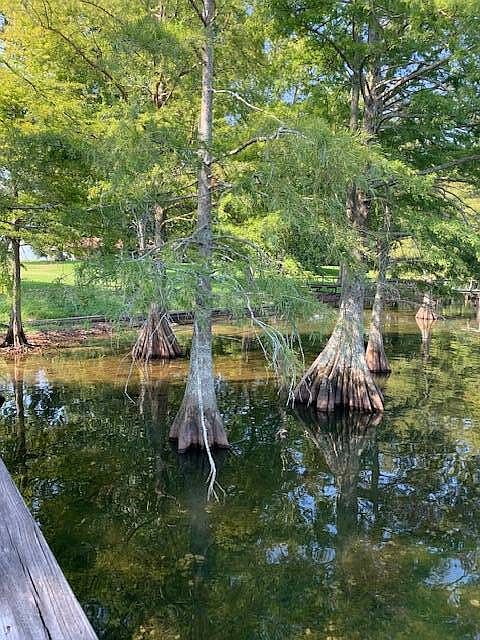 1st image of 198 Cypress Point Rd