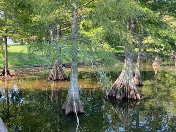 198 Cypress Point Rd, Saint Joseph, LA 71366