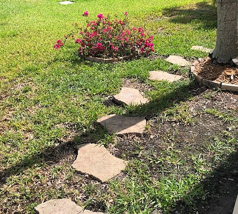 Left side of the house.