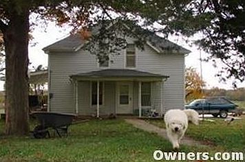 Front view-Outside only guard dog