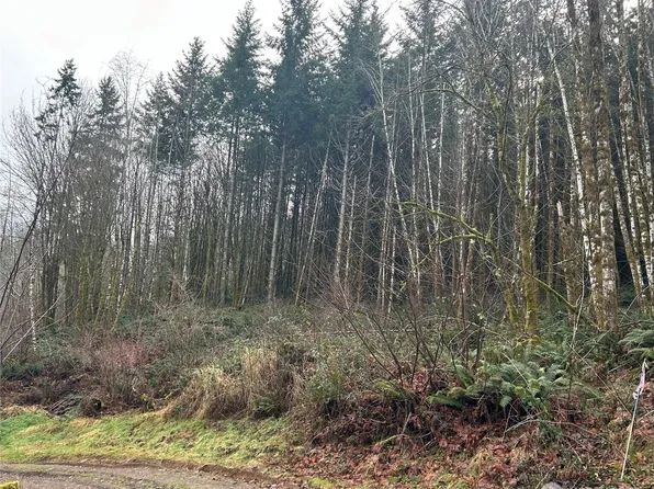 514 Berry Rd, Adna, WA 98532