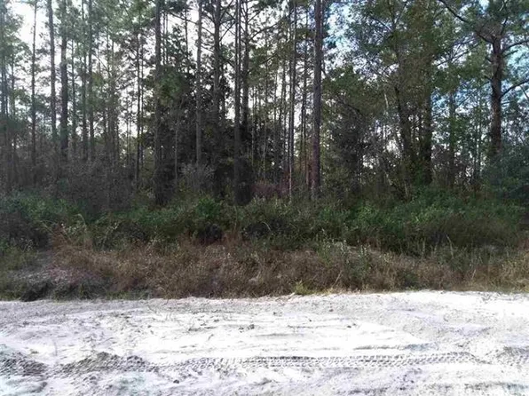 10400 Carpenter Ave, Hastings, FL 32145