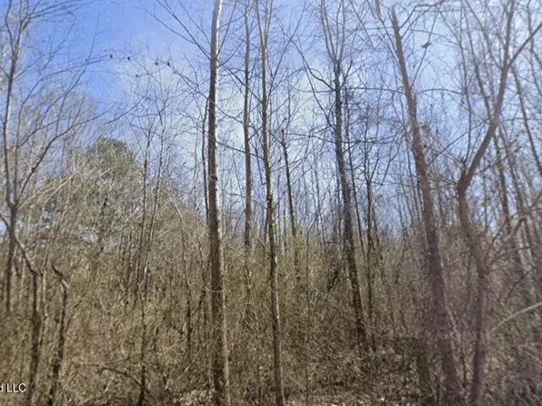 County Road 636, Corinth, MS 38834