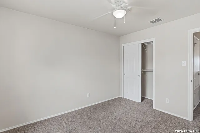 25513 Gold Yarrow — Photo 16