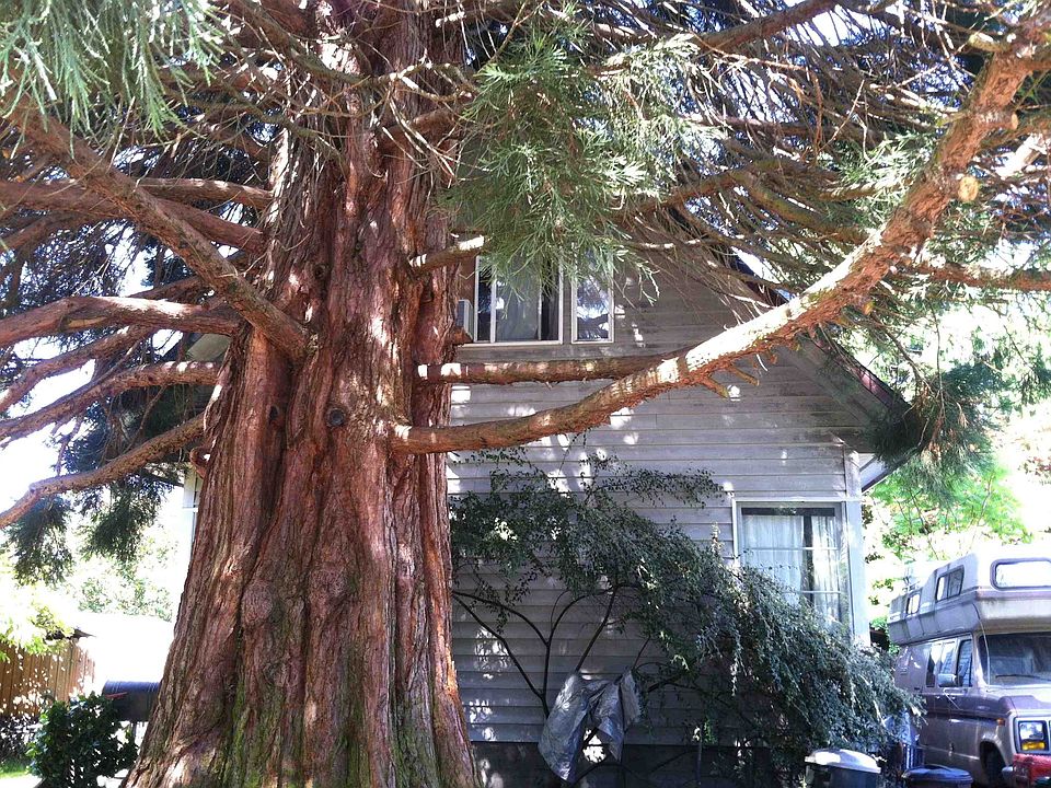 2nd image of 8539 Latona Ave NE