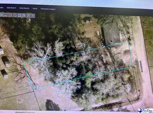 1216 Robinson St, Hartsville, SC 29550