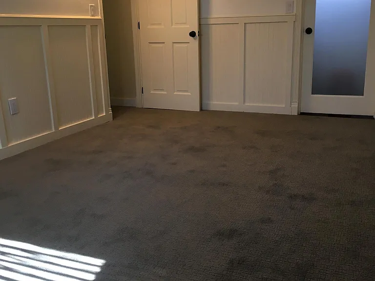 Lower level family room or home office. New carpet, wainscoting.