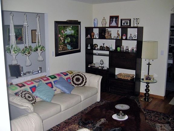 5th image of 1005 Grandview Dr