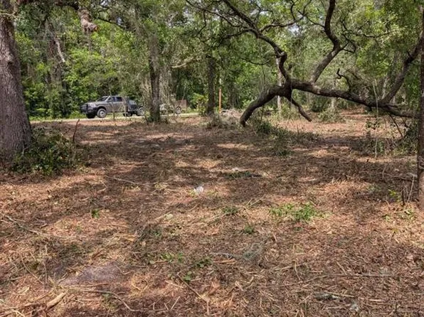 0 NE 220th St, Fort Mc Coy, FL 32134