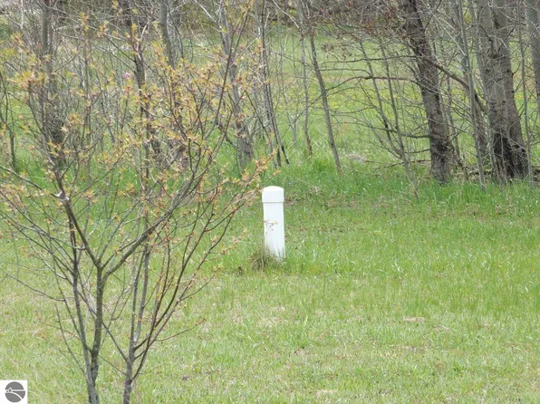 LOT 31 Kingsfield Dr, Kingsley, MI 49649