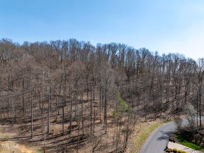 Allison Cove Trl, Piney Flats, TN, 37686