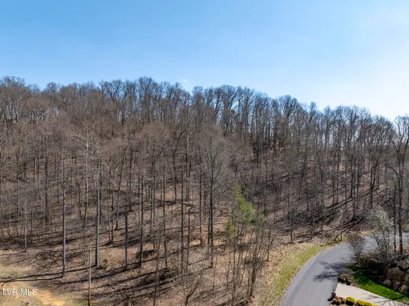 Allison Cove Trl, Piney Flats, TN 37686