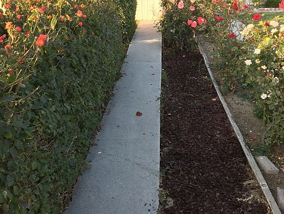 4th image of 23407 Victory Blvd
