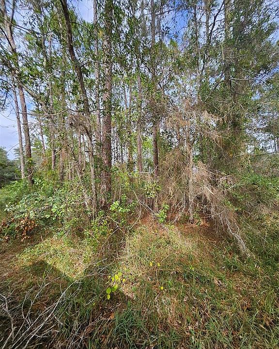 1st image of (Undisclosed Address)