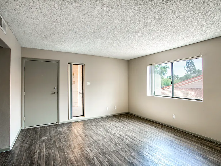 Spacious living room with ample natural light