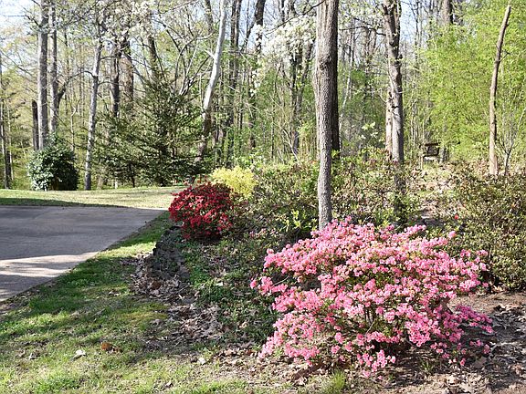 3rd image of 23 Poplar Plains Dr