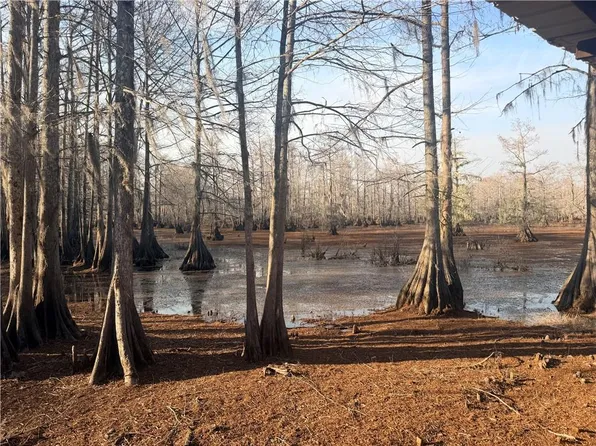 568 & 572 Hog Island Rd, Dry Prong, LA 71423