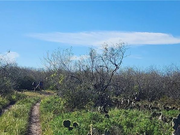 0 Boca Chica Blvd, Brownsville, TX 78520