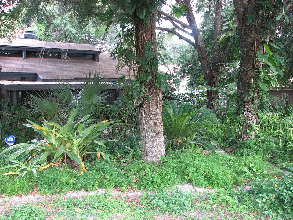 1st image of 141 Wildwood Dr