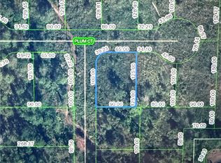 2202 Plum Ct, Sebring, FL 33875