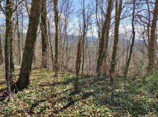 58 New Lite Rd, Fairview, NC 28730