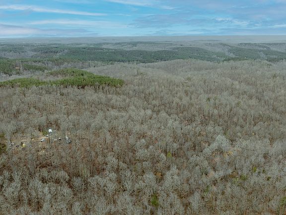 3rd image of 8072 Old Hohenwald Rd