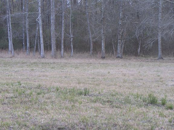 4th image of 45 Foxtrail Rd