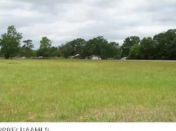 LOT 11 Public Rd, Rayne, LA 70578