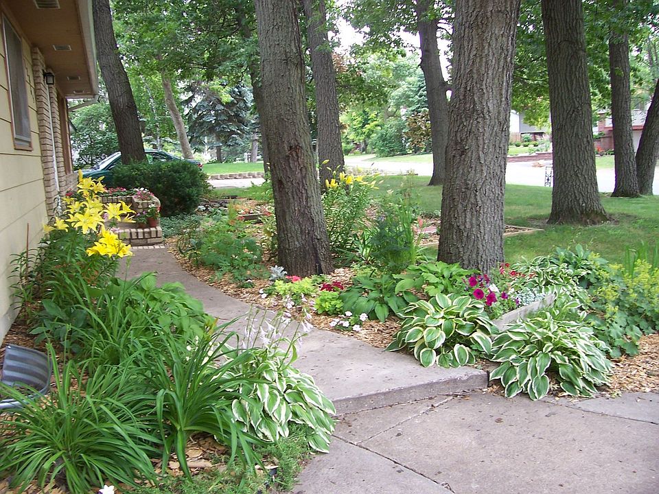Front yard