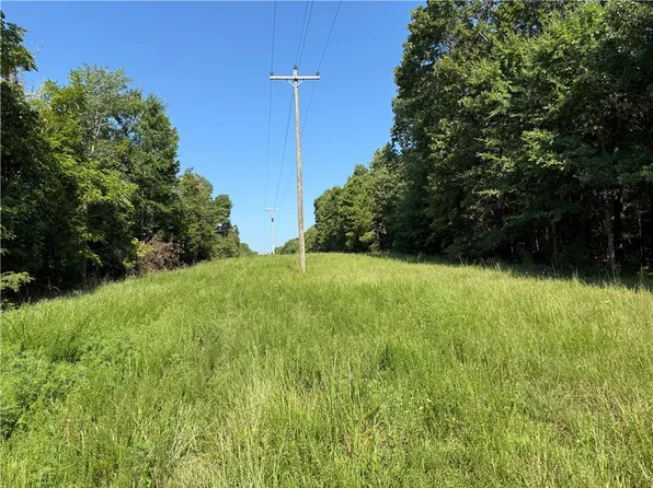 0 Country Ct Tract C, Berryville, AR 72616