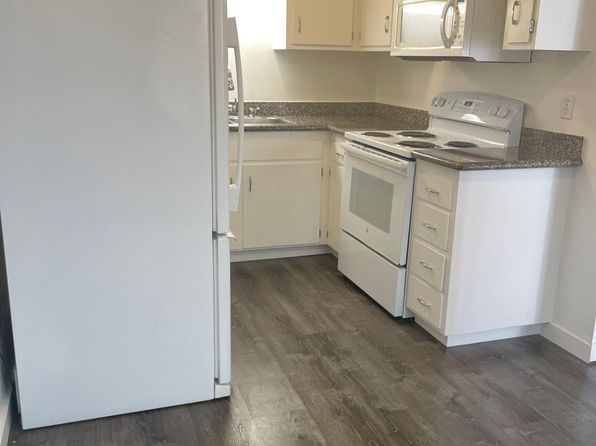 536 Adams St APT 1, Albany, CA 94706