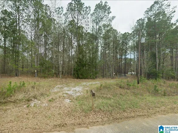 0 County Road 864, Wadley, AL 36276