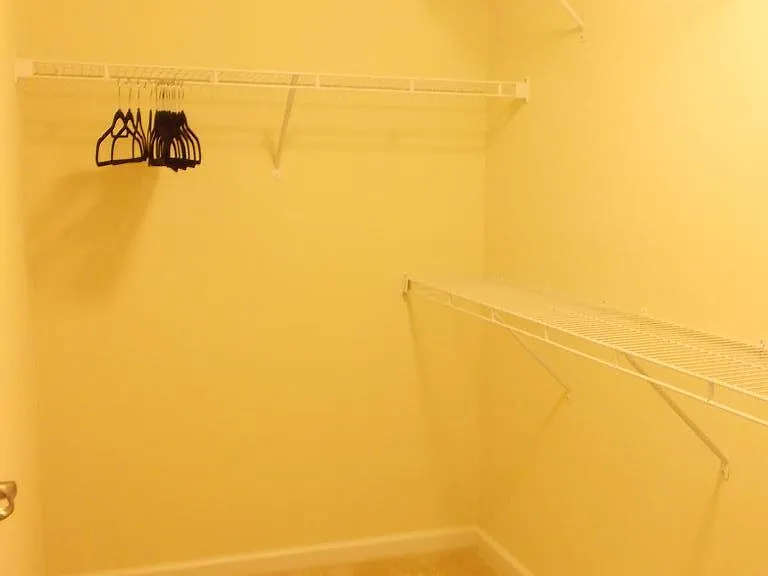 7411 Red Mulberry Way #1076D — Photo 21