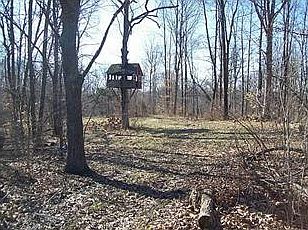 Land/Lot.
