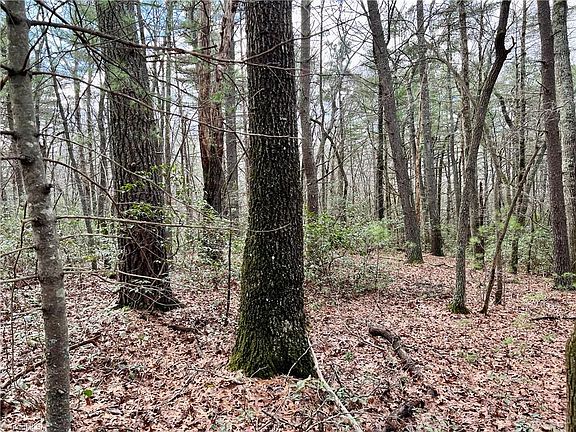 5th image of X Oak Ridge Dr Lot 8575