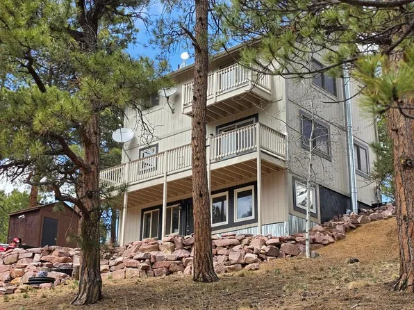 493 Lost Lake Dr, Divide, CO 80814