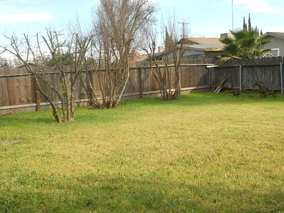 Rear Yard with Fruit Ttrees