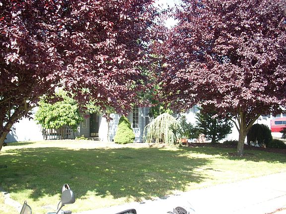 Front yard