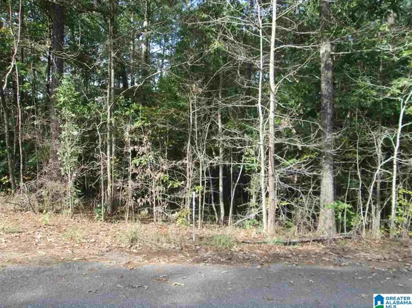 0 Dale Dr #21, Mc Calla, AL 35111