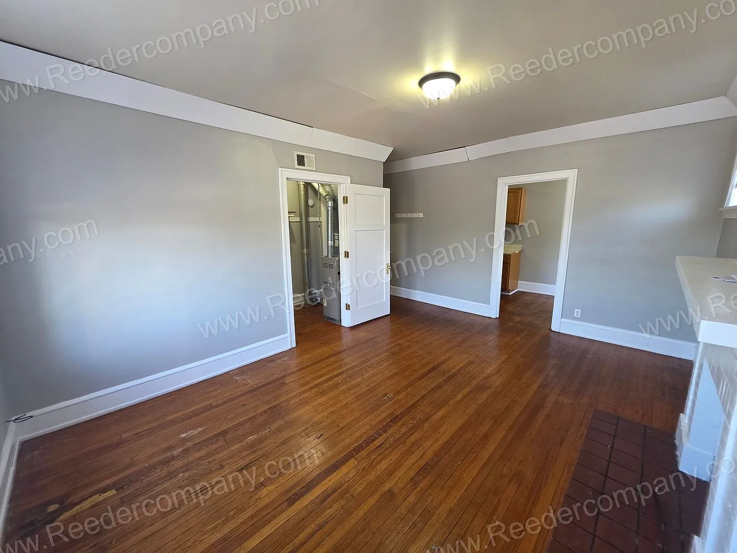 51-53 Elizabeth Street — Photo 3
