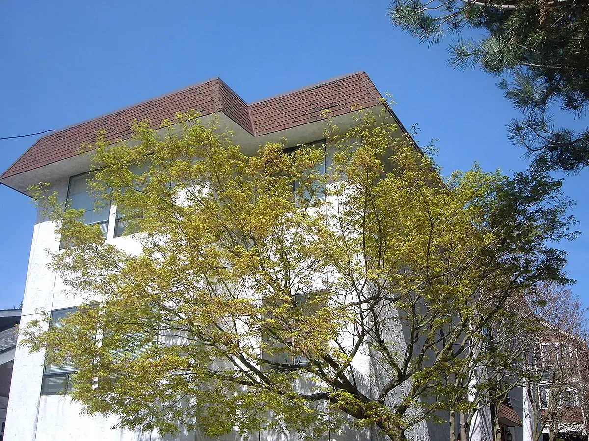 Nordlund Apartments — Photo 3