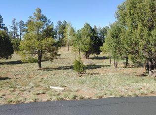 2254 Big Bear Cir, Overgaard, AZ 85933