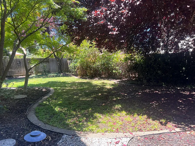 132S-15156 Celebrar St — Photo 3